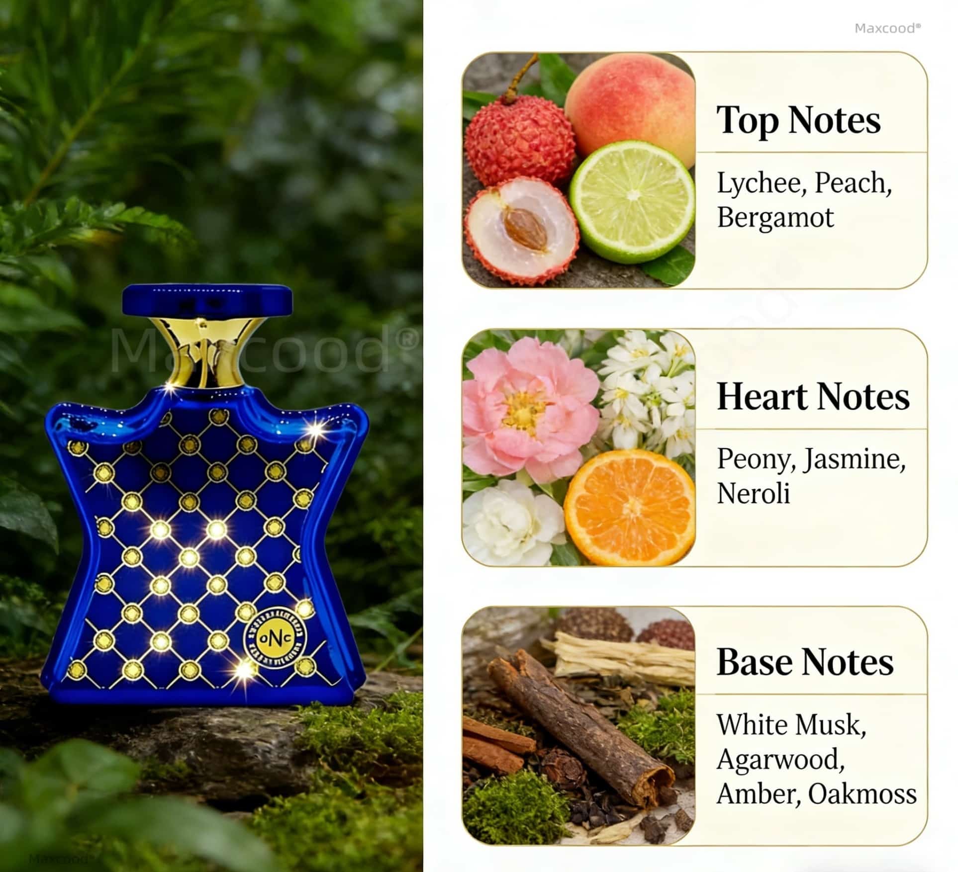 柑橘系とフローラル系の香水 長持ちする香り 日常使いに最適  - Perfume Fragrance For Women のレビューと価格